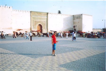 sif 2006