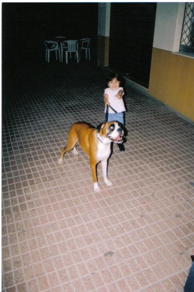 Safa
